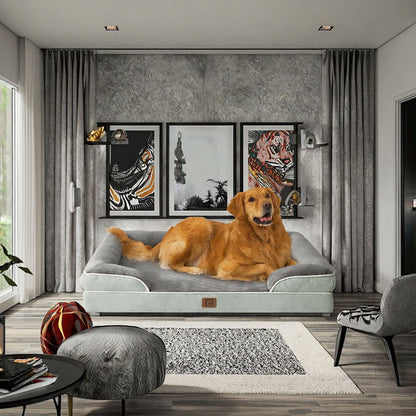 Orthopedic Memory Foam Dog Bed