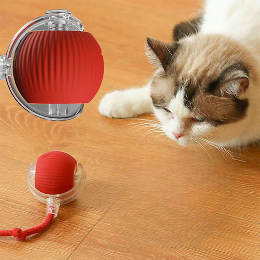 Smart Rolling Cat Toy Ball™ – Interactive Self-Play