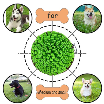 Snuffle Mat for Dogs – Interactive Nose work Feeding Toys
