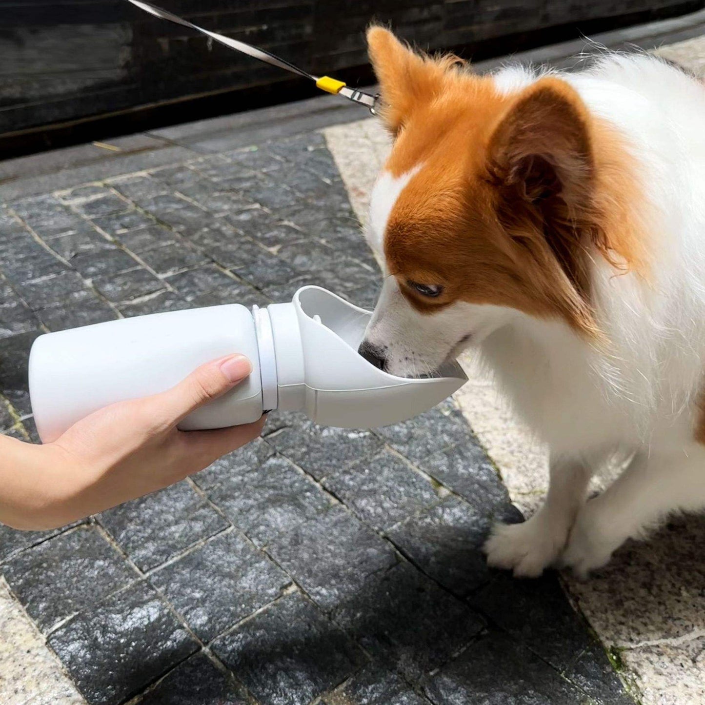 Portable Silicone Dog Water Bottle with Foldable Bowl