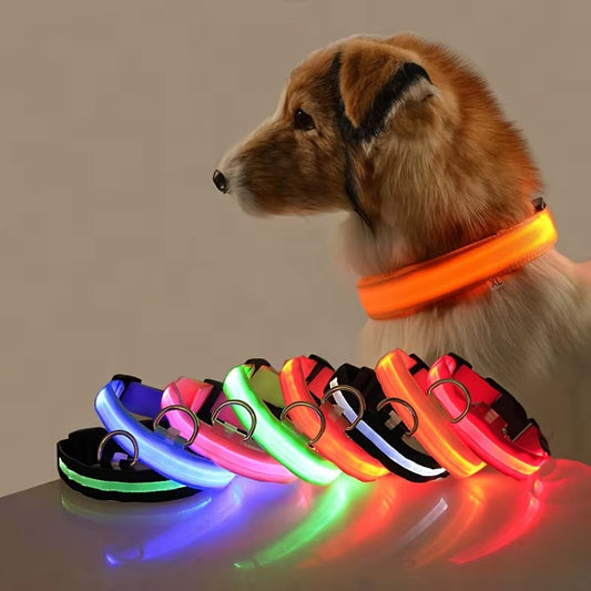 LED Dog Collar – Nylon Adjustable Glow-in-the-Dark